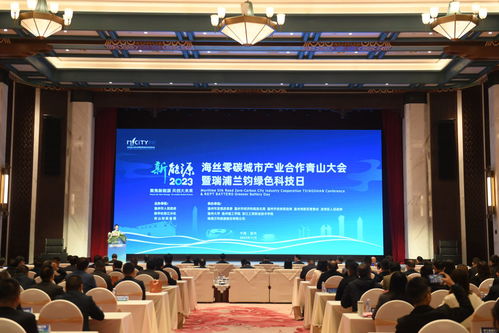 海絲零碳城市產(chǎn)業(yè)合作青山大會(huì)在溫州召開(kāi)